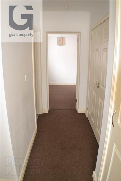 23 Oakley Street 7 of 8