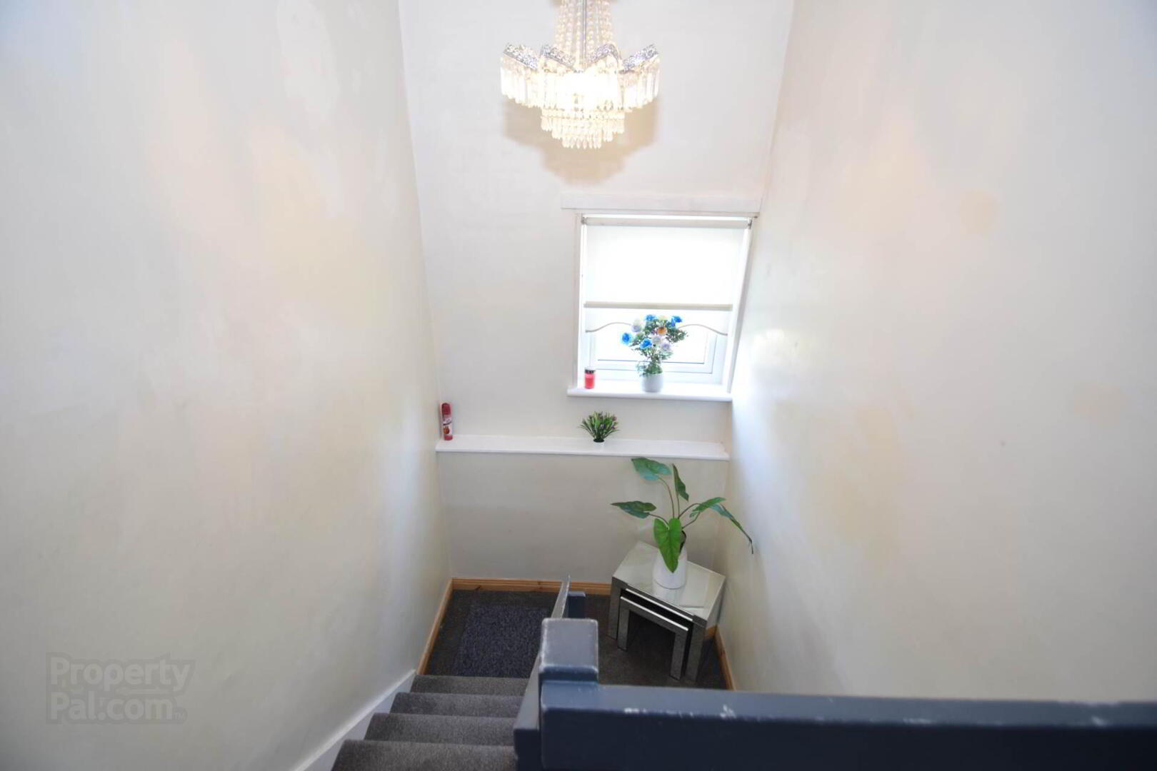 7 Carrigart Avenue 12 of 23