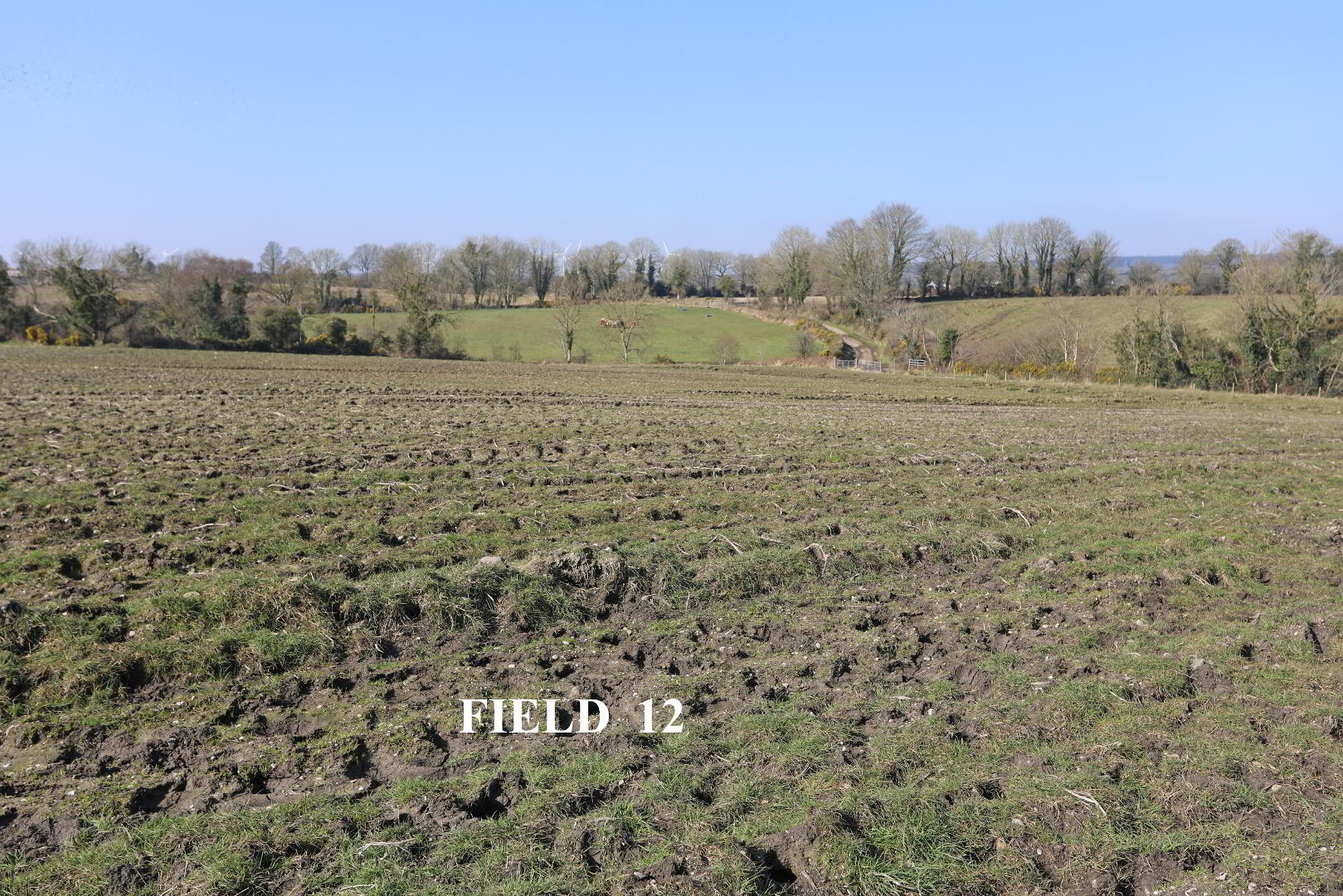 property description image