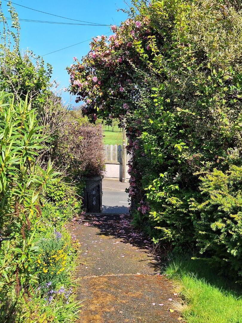 25 Glenshesk Road 30 of 31