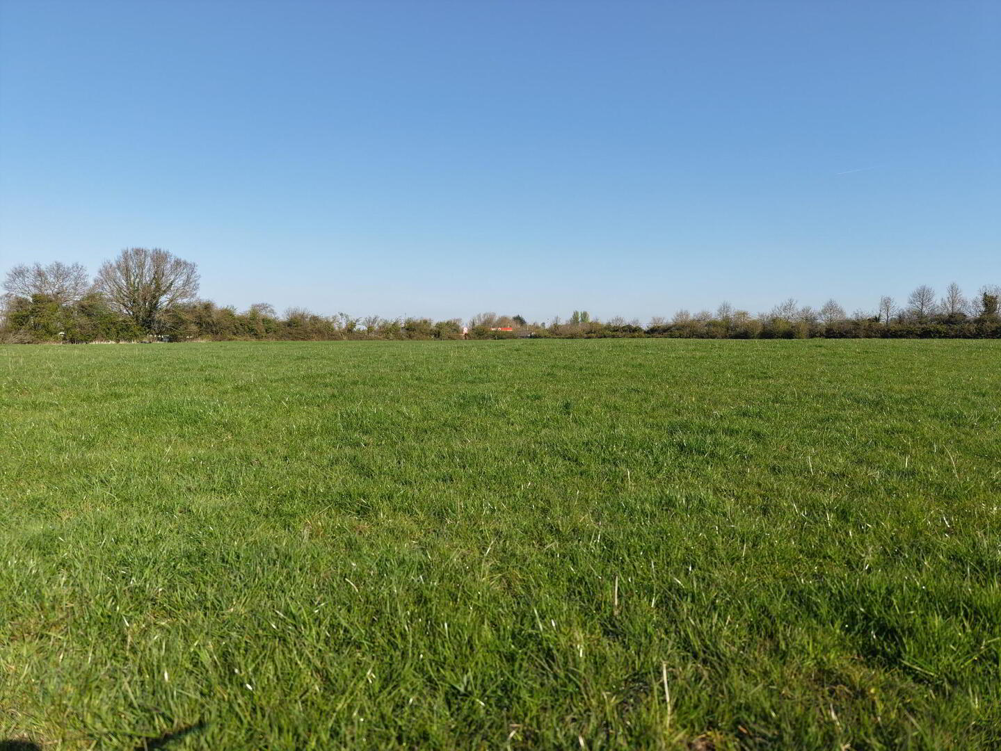 property description image