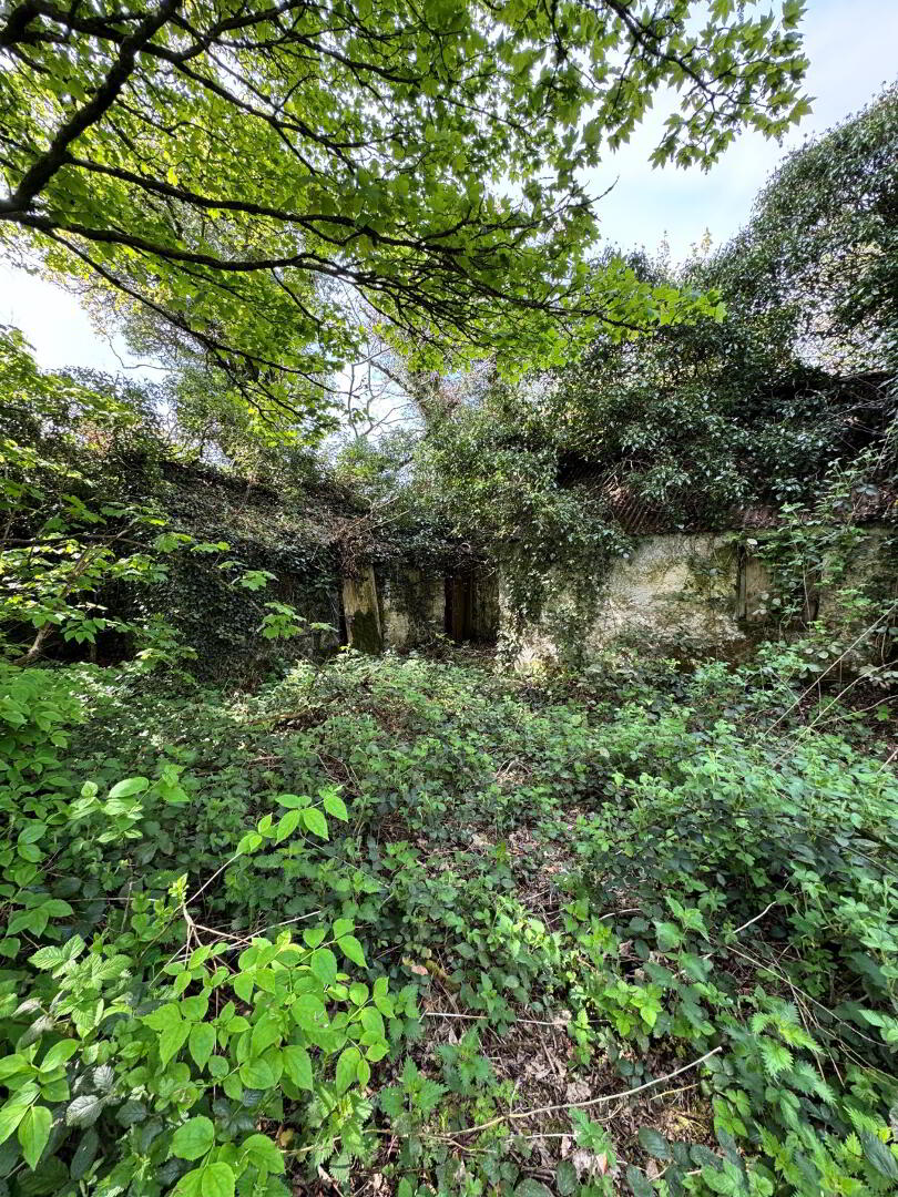 property description image