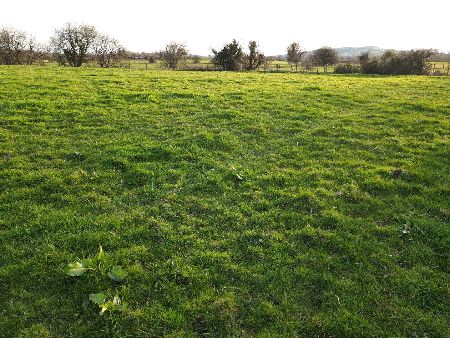 Park Road 6 of 13