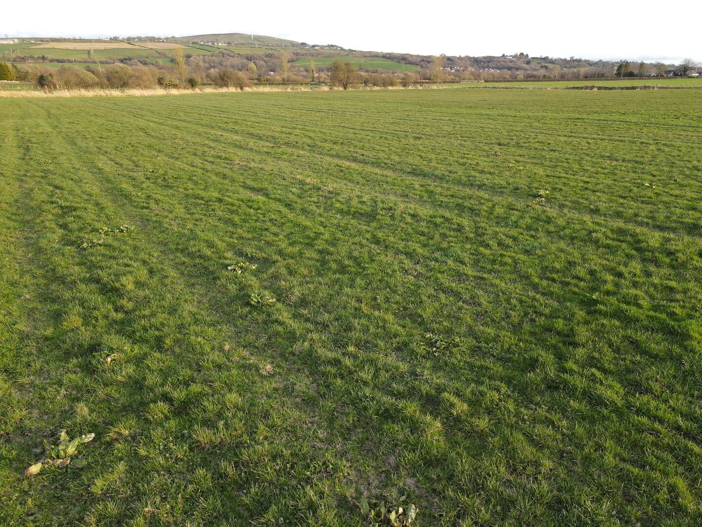 Park Road 7 of 13