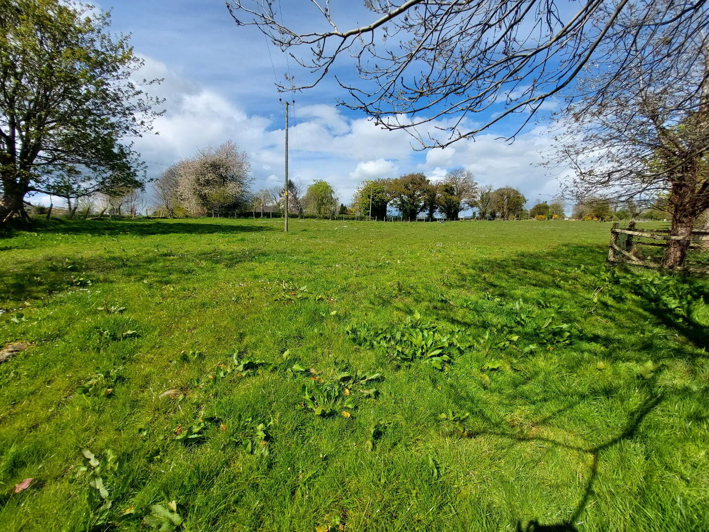 Park Road 13 of 13