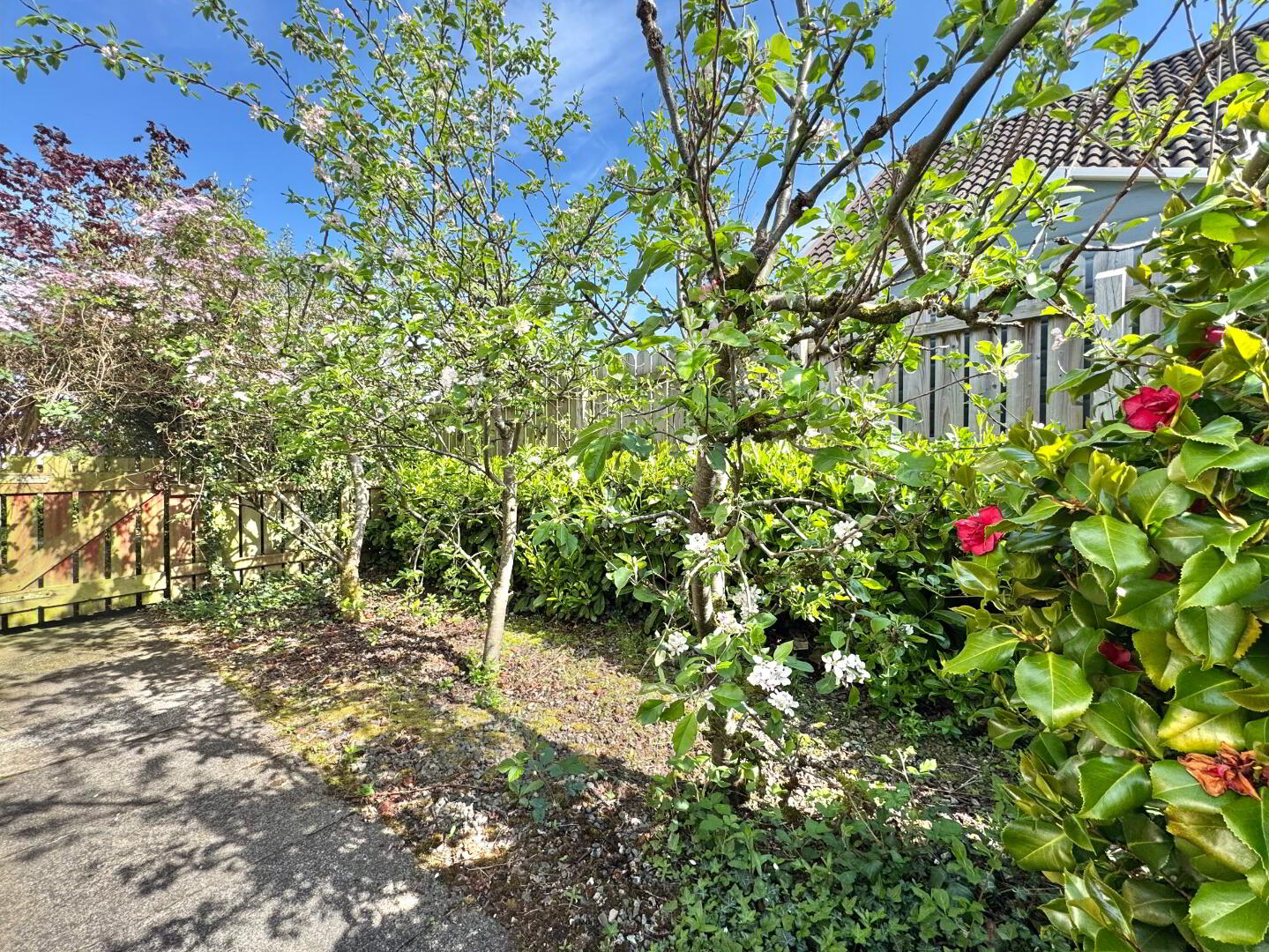 5 Gleannan Close 22 of 22