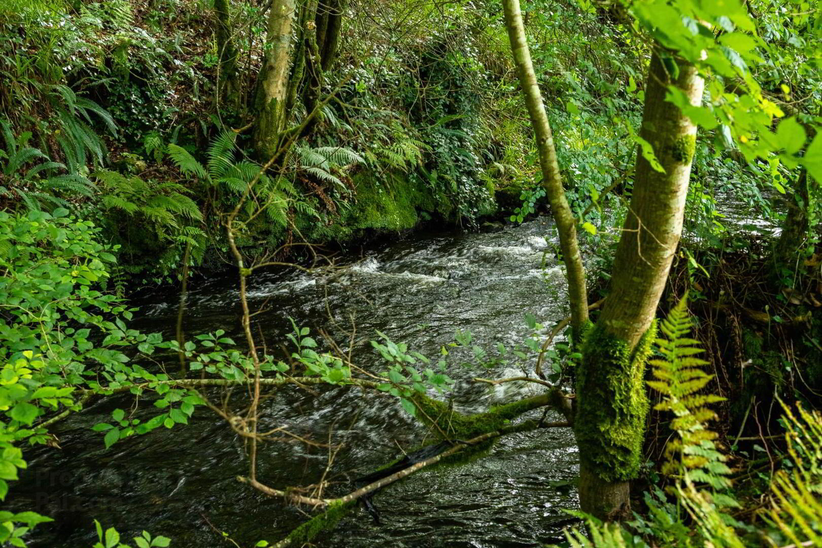The Old Mill Stores, Millside 5 of 22