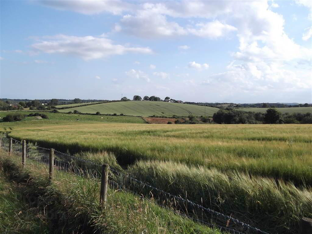 22 Acres At, The Brae 6 of 9