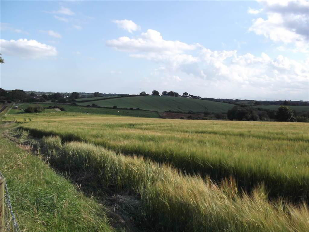 22 Acres At, The Brae 5 of 9
