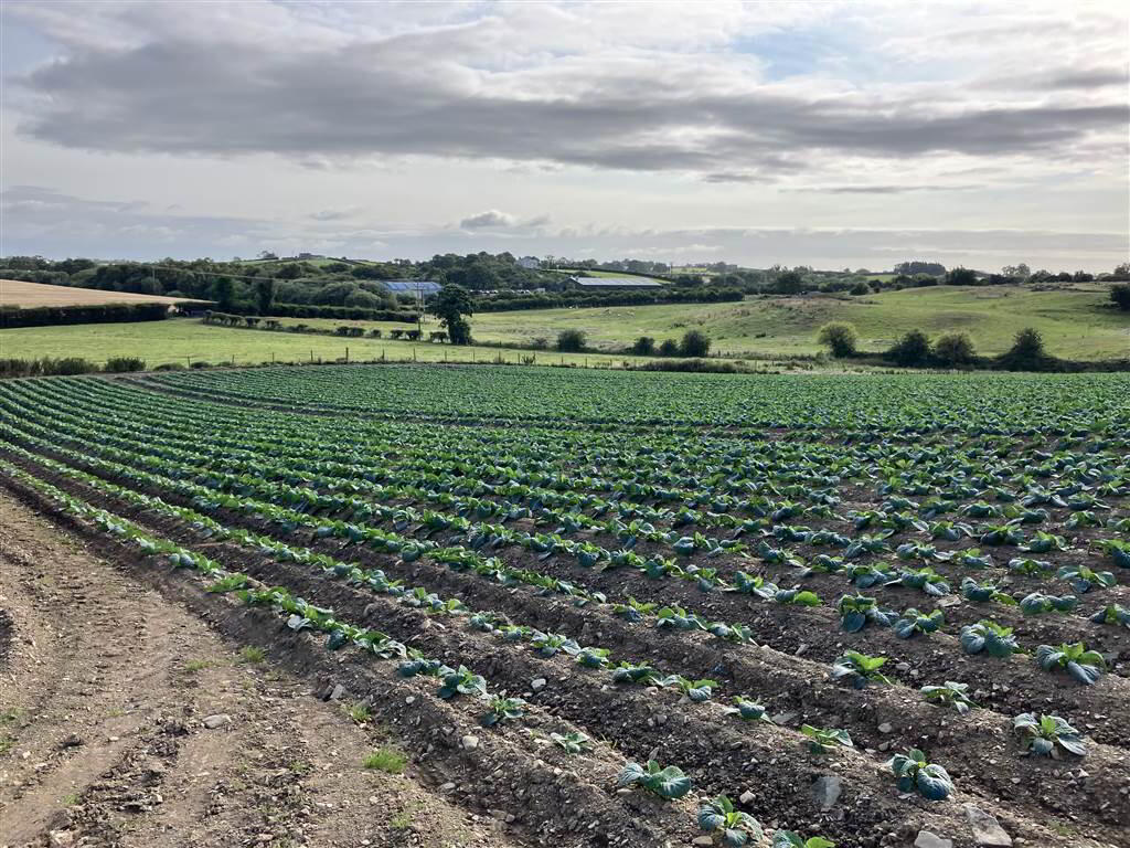 22 Acres At, The Brae 10 of 17