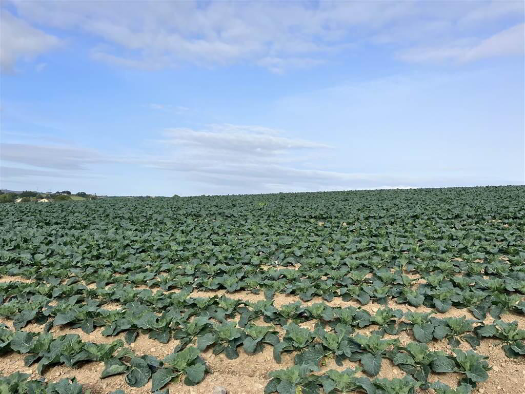 22 Acres At, The Brae 5 of 17