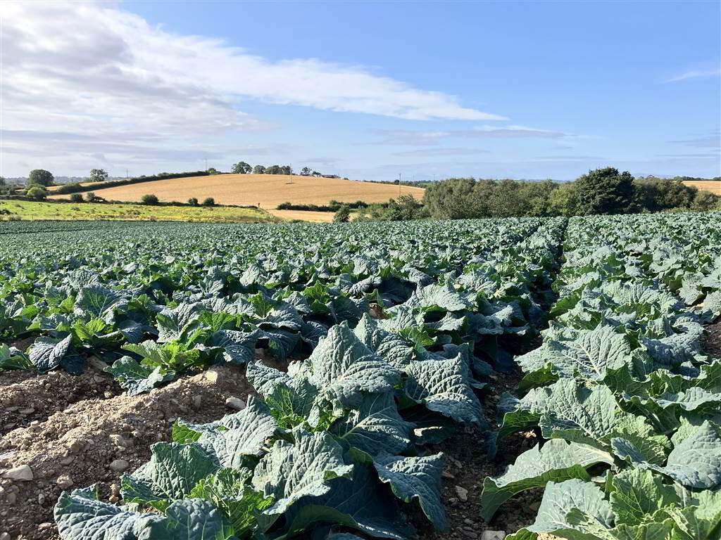 22 Acres At, The Brae 1 of 17