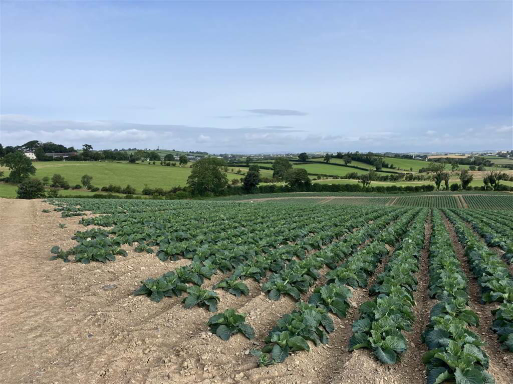 22 Acres At, The Brae 8 of 17