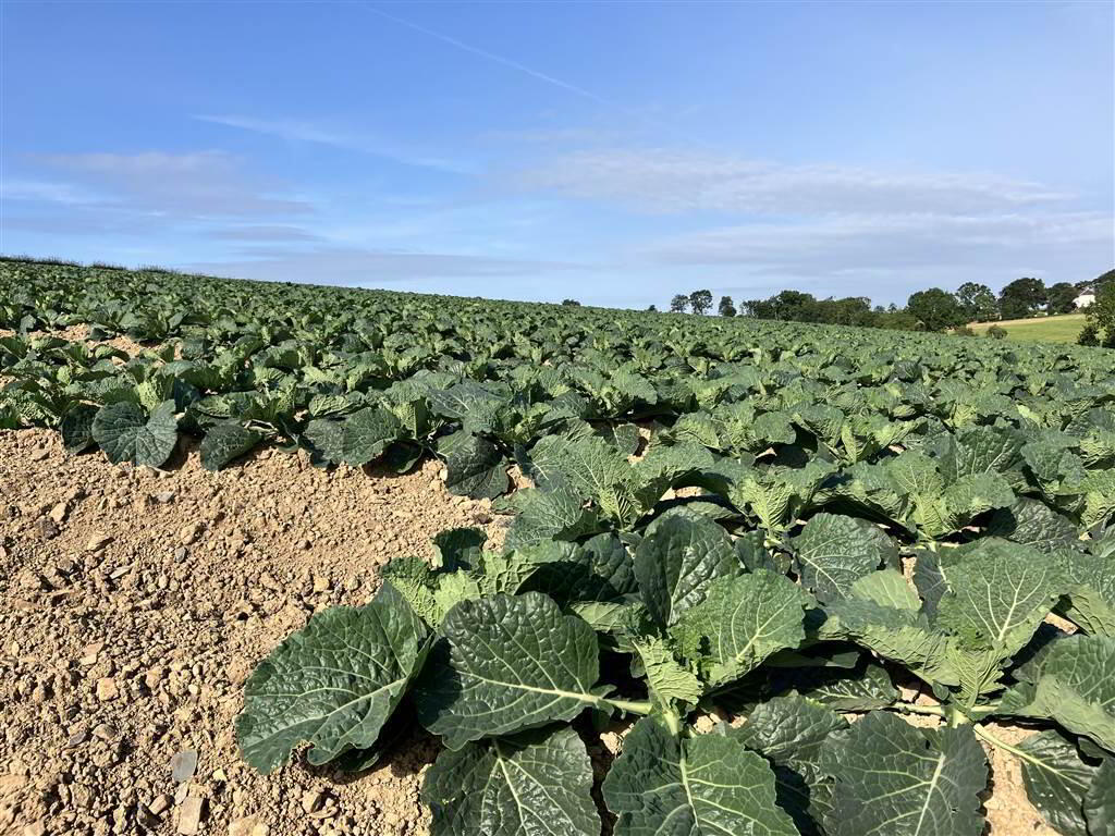 22 Acres At, The Brae 12 of 17