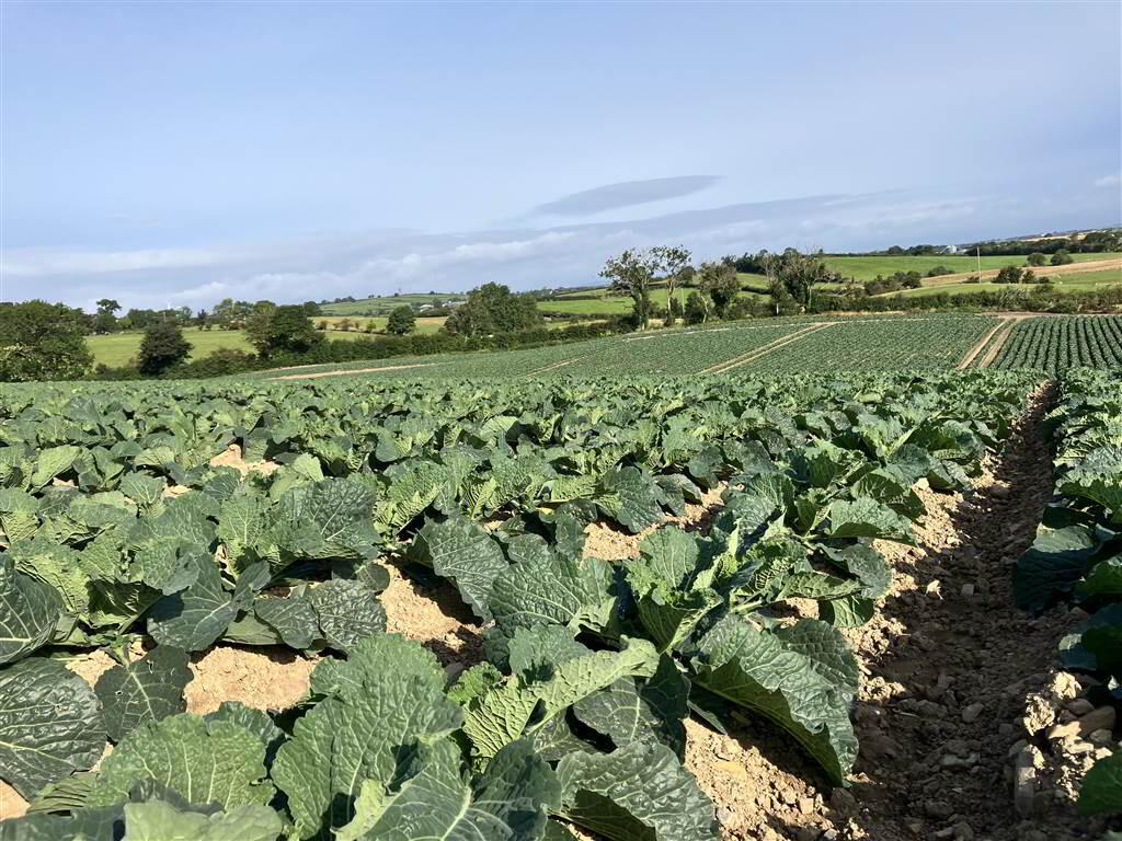 22 Acres At, The Brae 13 of 17