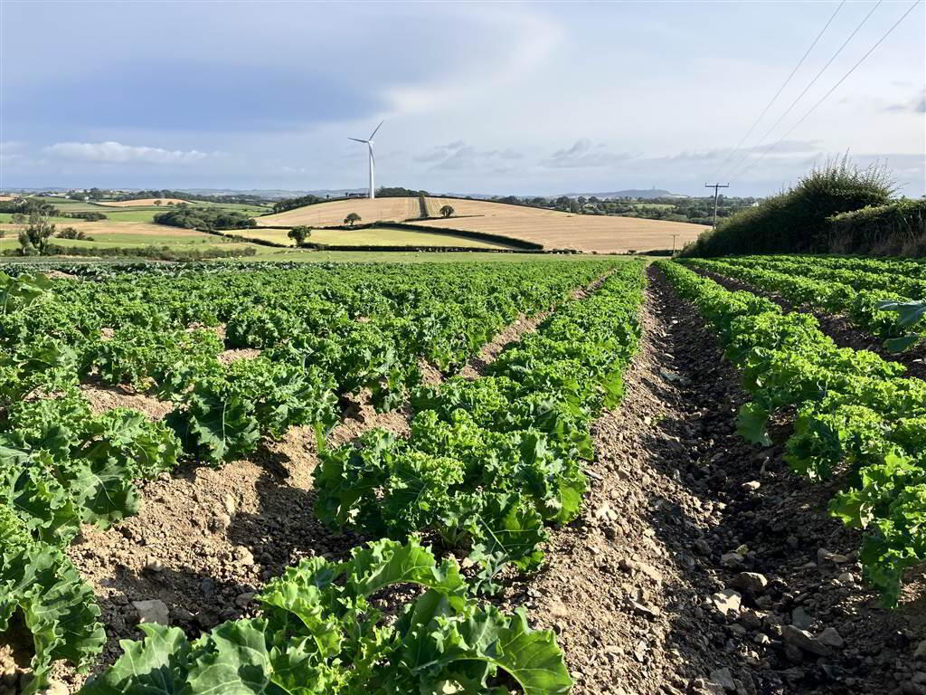 22 Acres At, The Brae 14 of 17