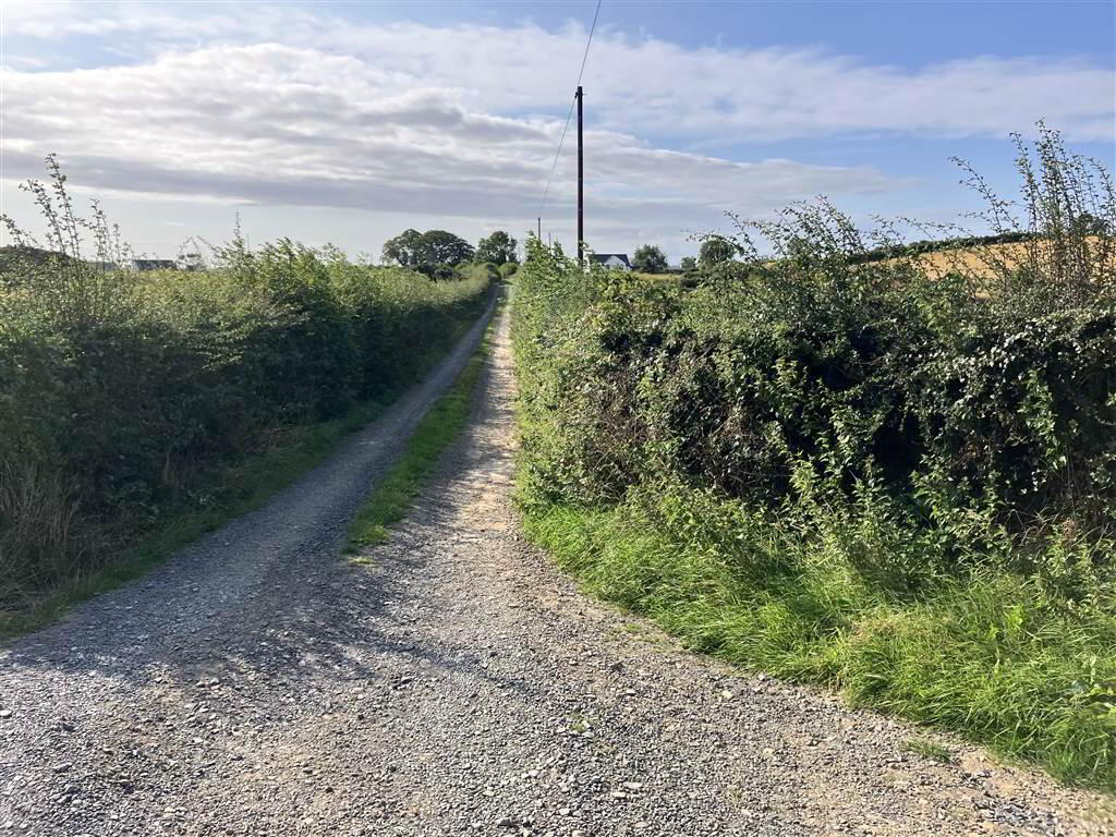 22 Acres At, The Brae 15 of 17