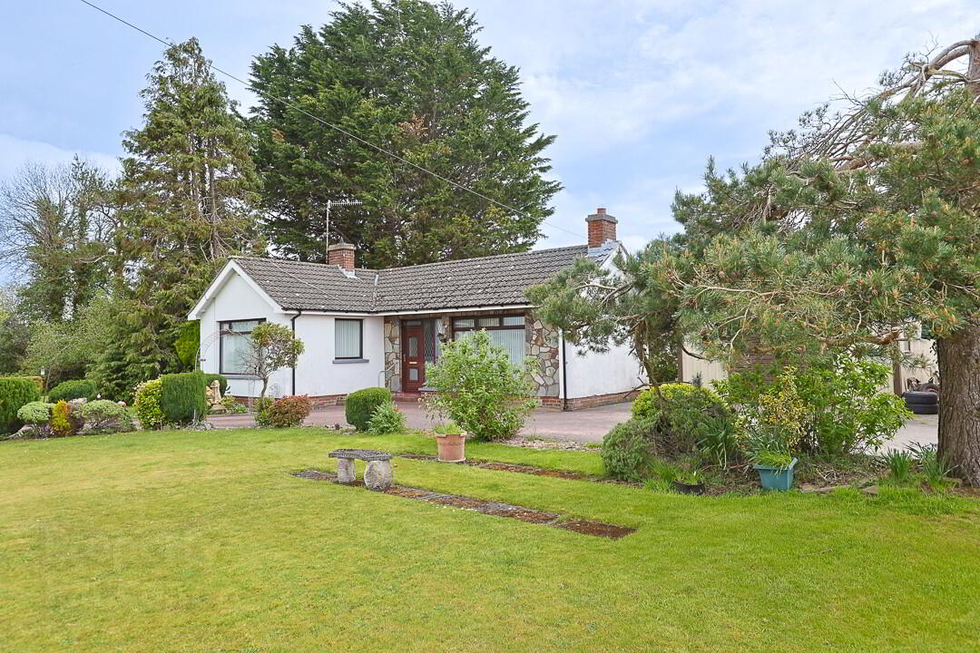 64 Drumgor Lane 3 of 42