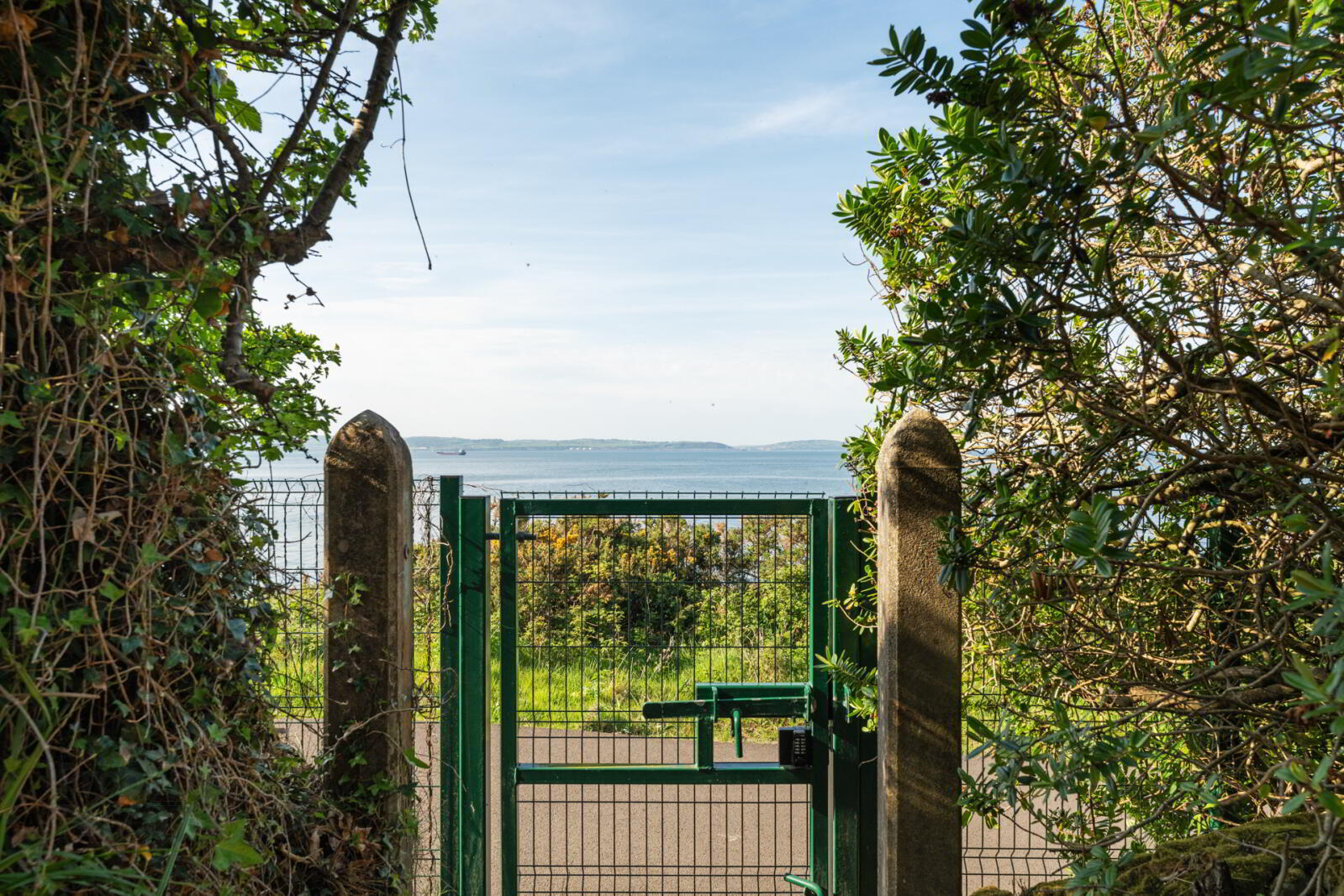 21 Downshire Lane 34 of 47