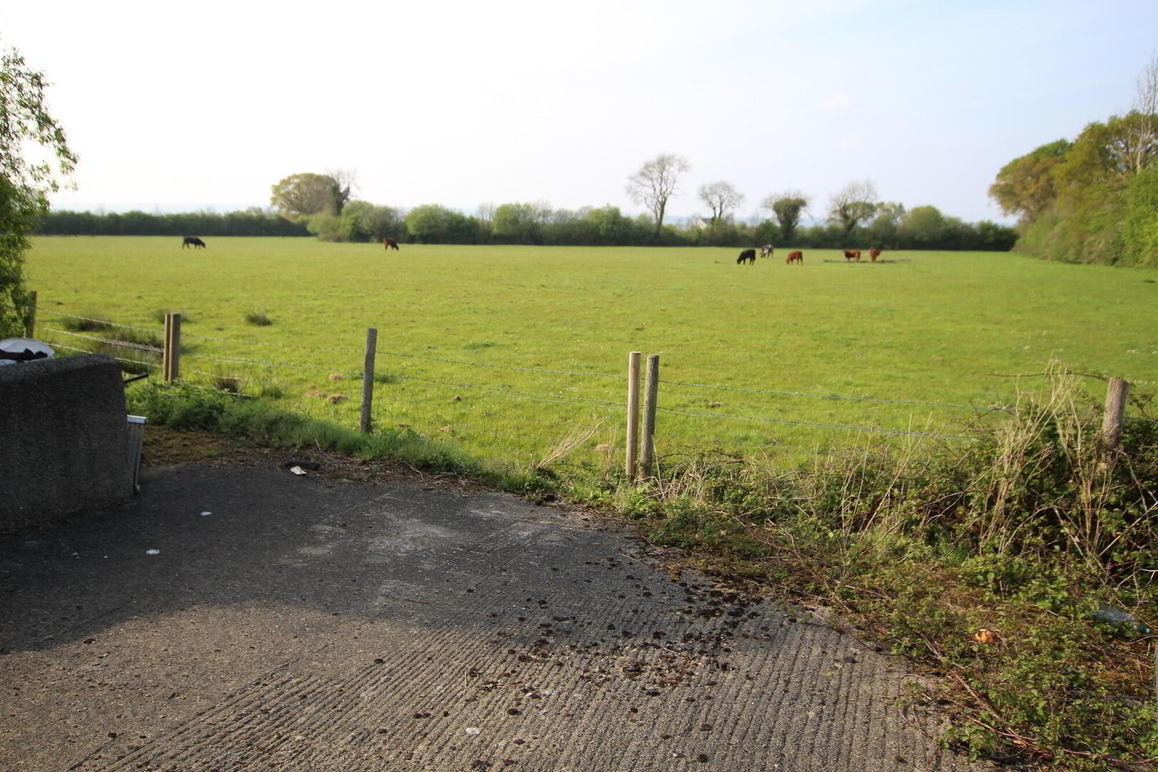 5a Corbally Road 10 of 10