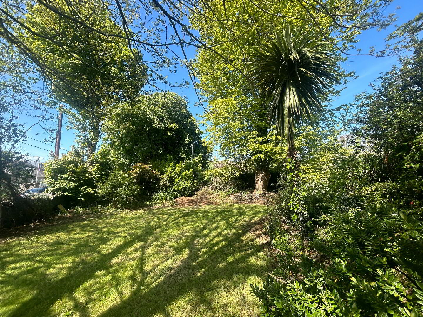Edenwood, Big Street 25 of 26