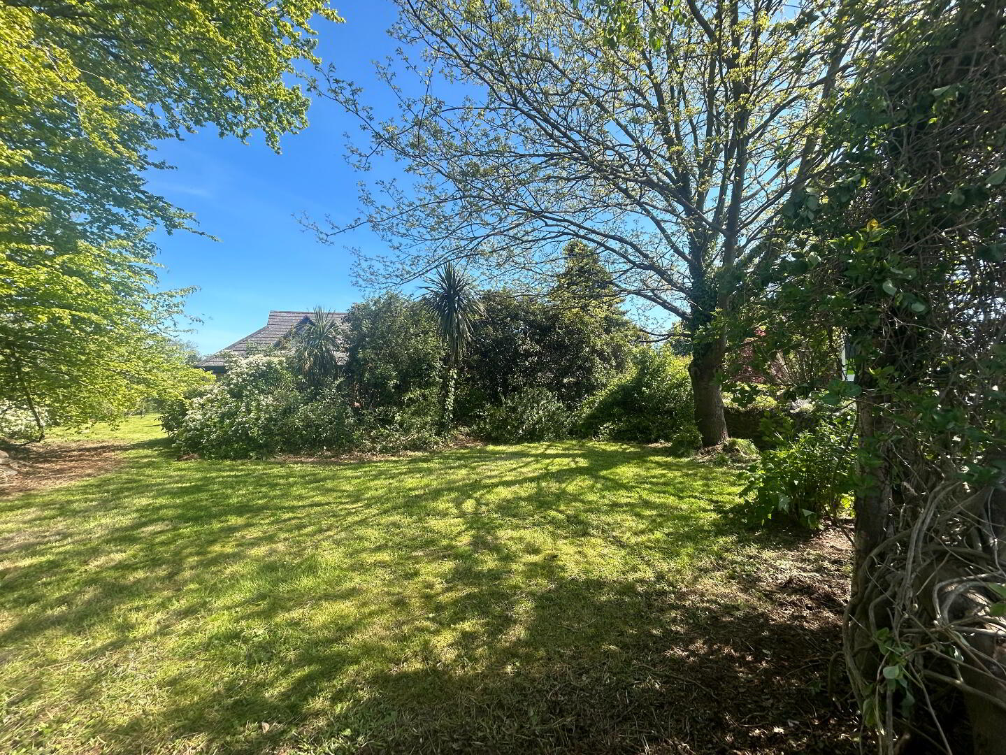 Edenwood, Big Street 26 of 26