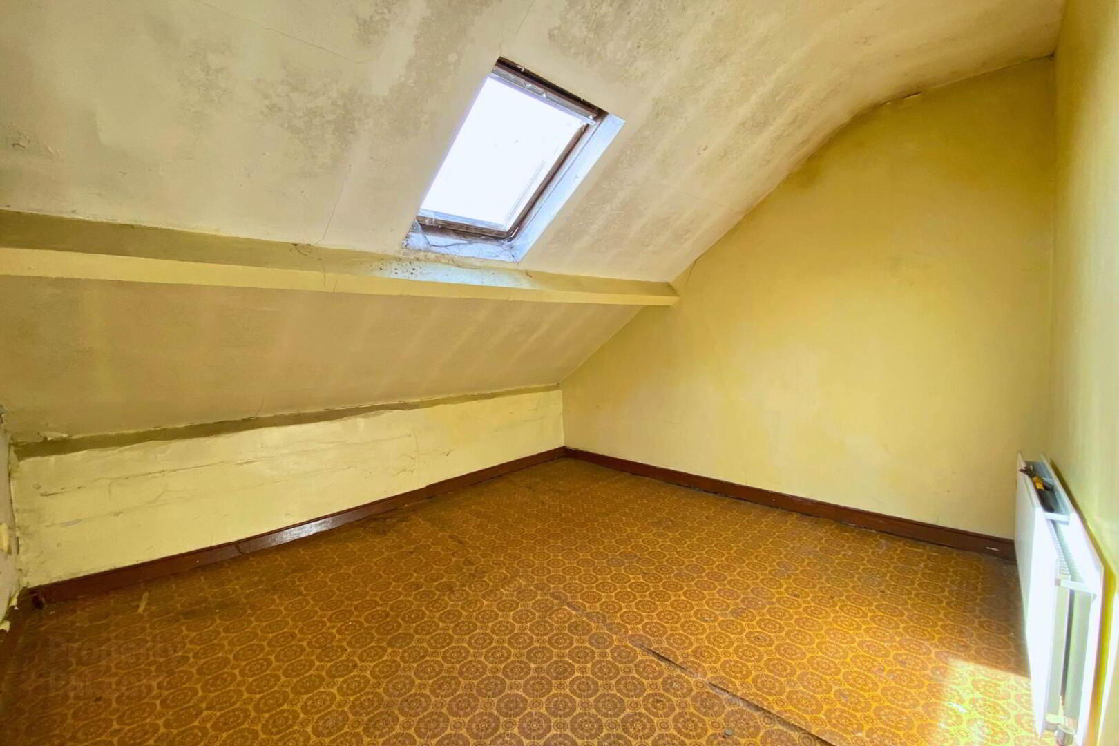 14 Sarsfield Street 5 of 9