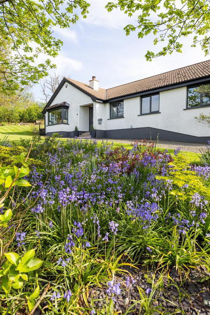 41 Ballybracken Road 4 of 34
