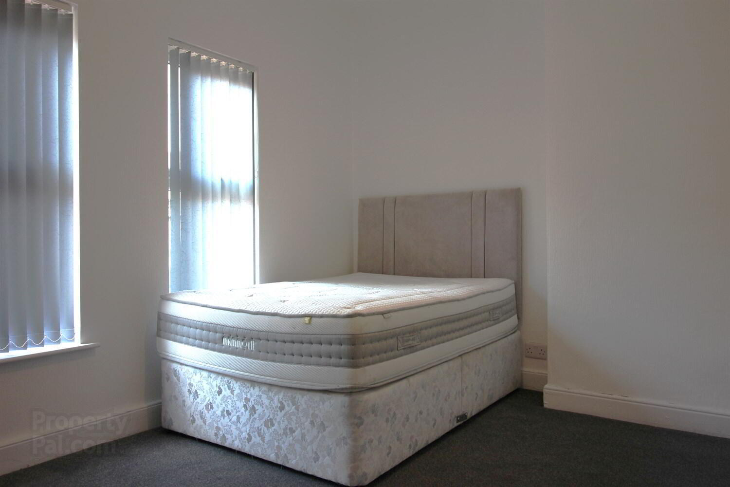 6 Egeria Street 8 of 9