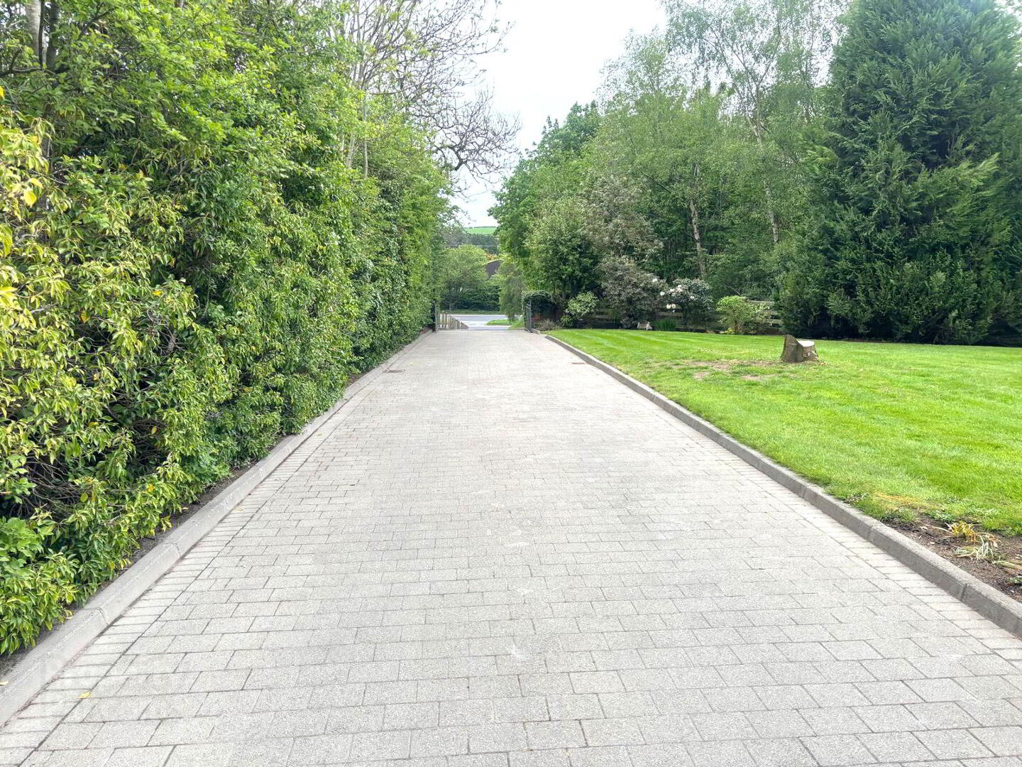 127 Dromore Road 14 of 15