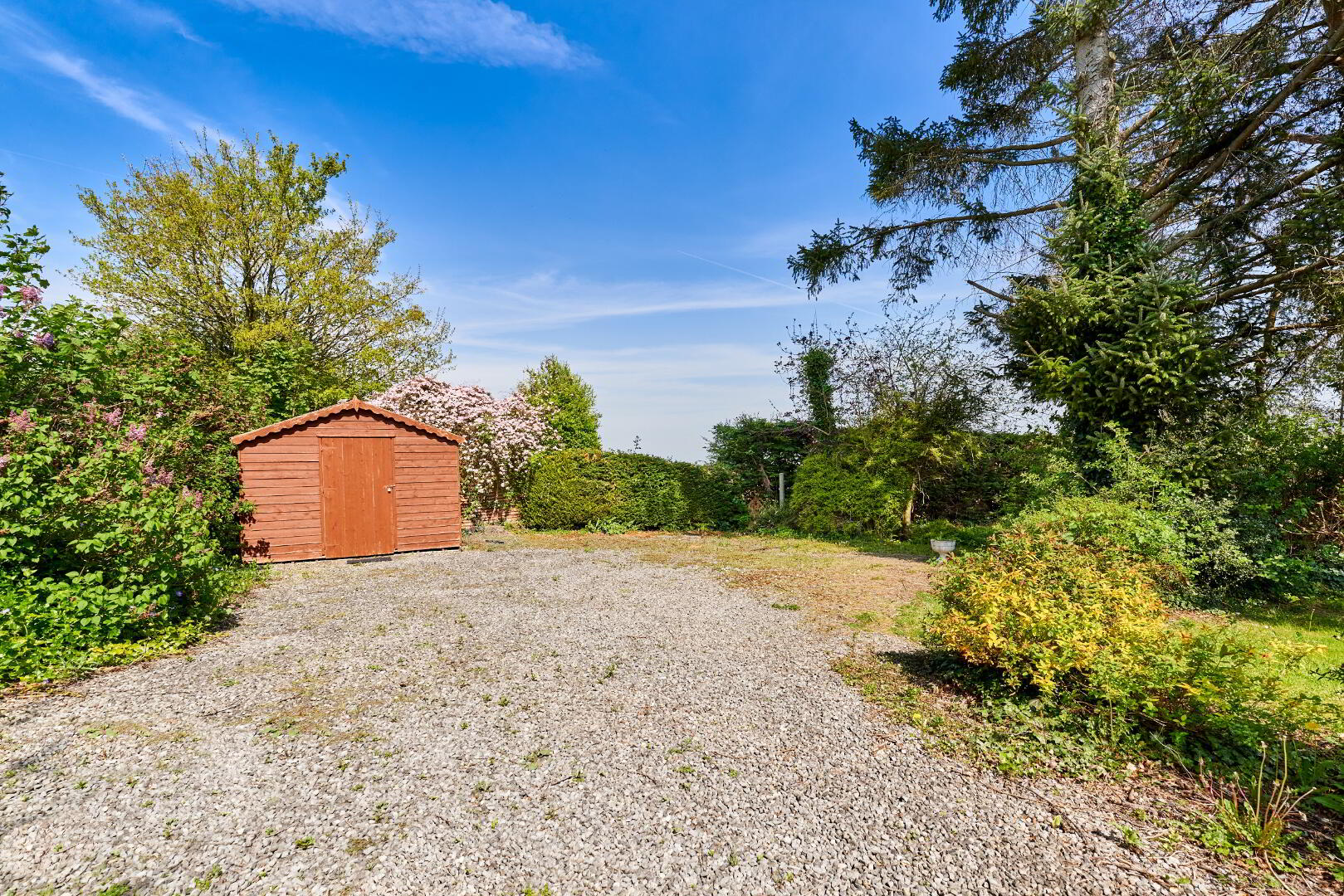 Sunville, Rosmeen 20 of 25