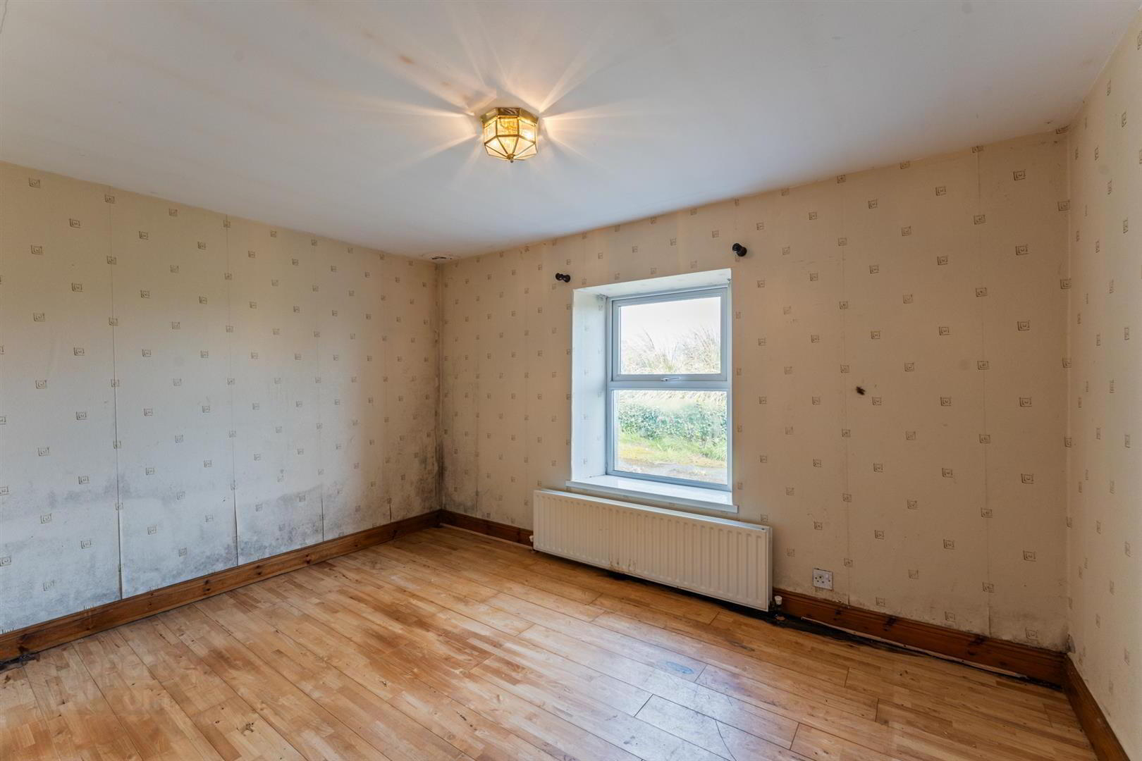 21 Springvale Road 13 of 20