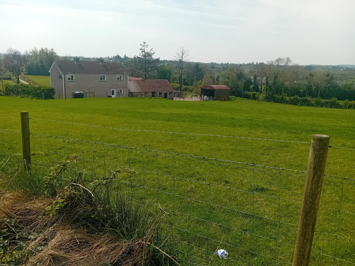 113 Eshnadarragh Rd 12 of 18