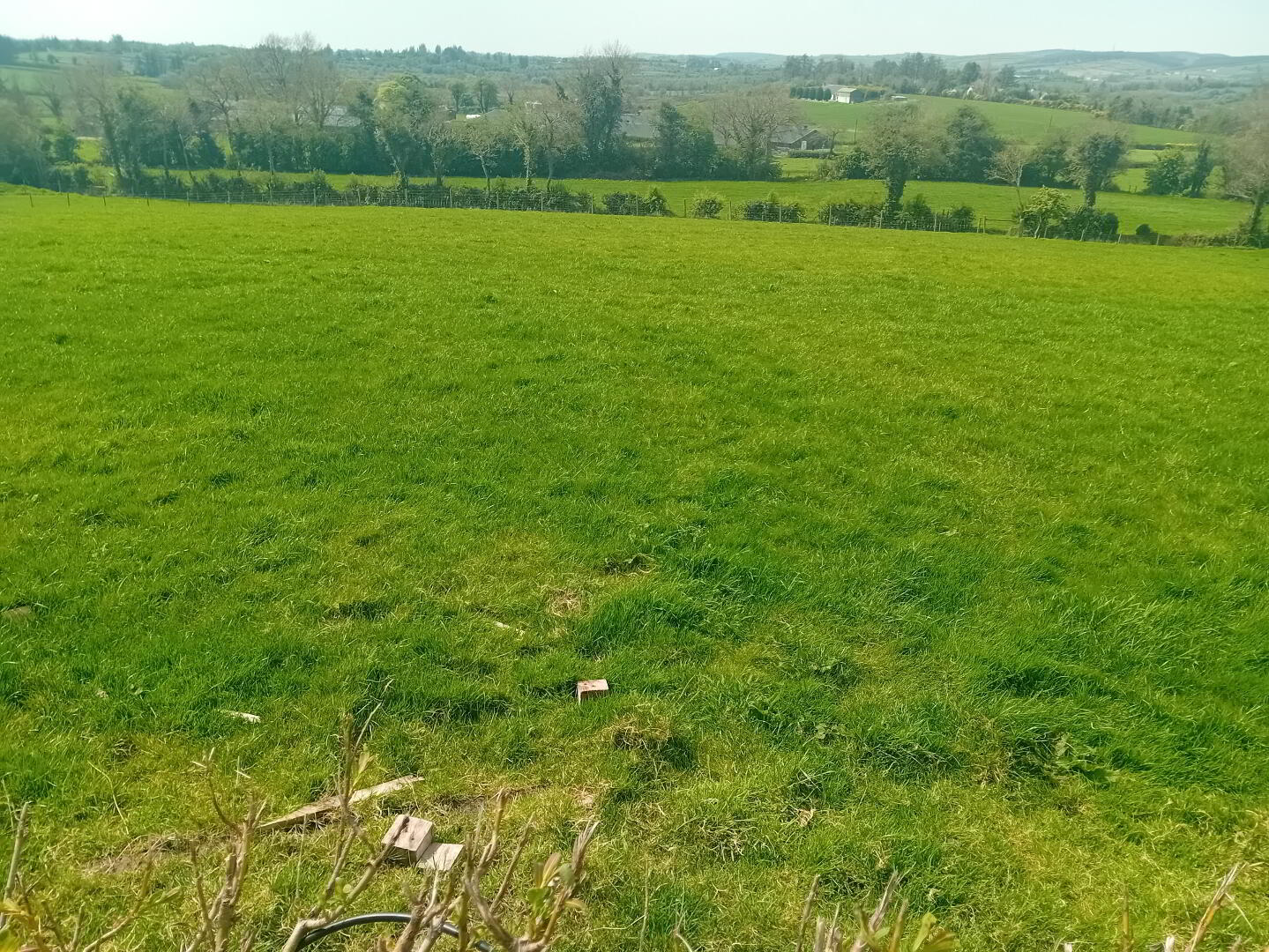 113 Eshnadarragh Rd 14 of 18