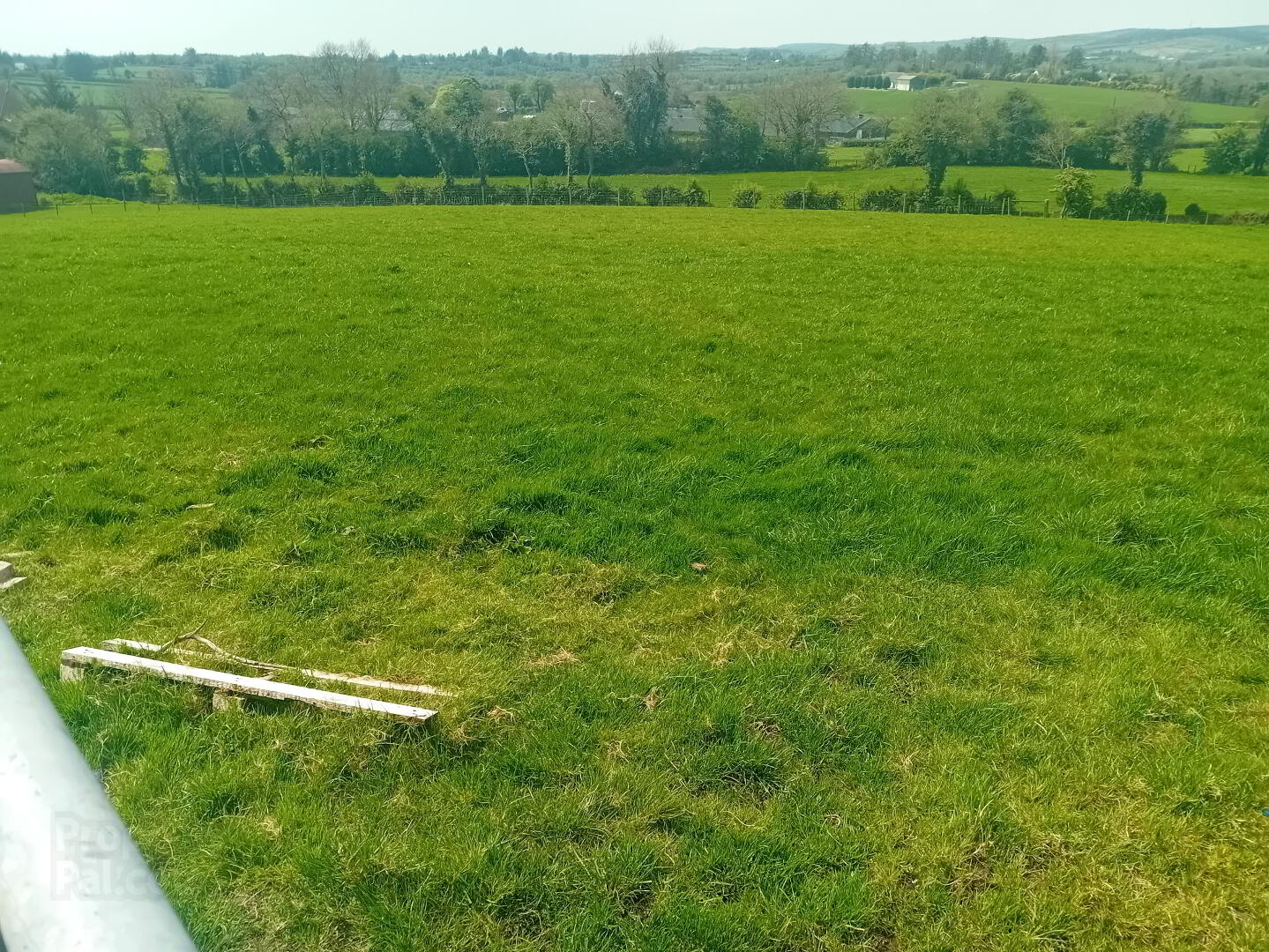 113 Eshnadarragh Rd 16 of 18