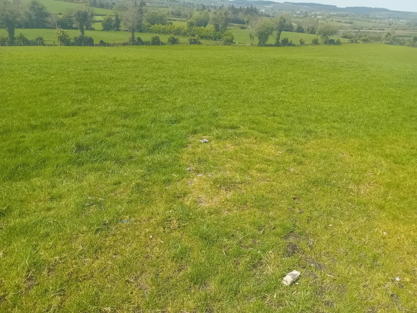 113 Eshnadarragh Rd 17 of 18