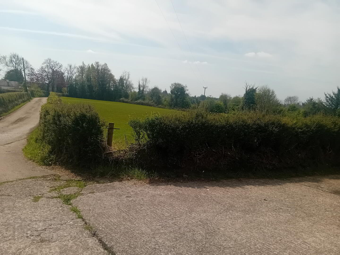 113 Eshnadarragh Rd 11 of 18
