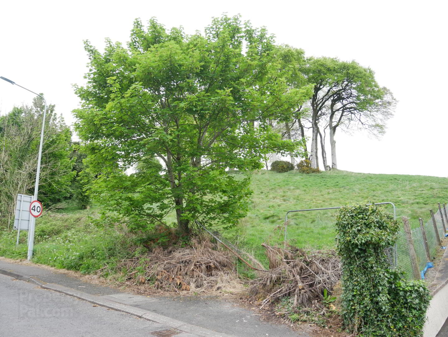 Edenmore 5 of 8