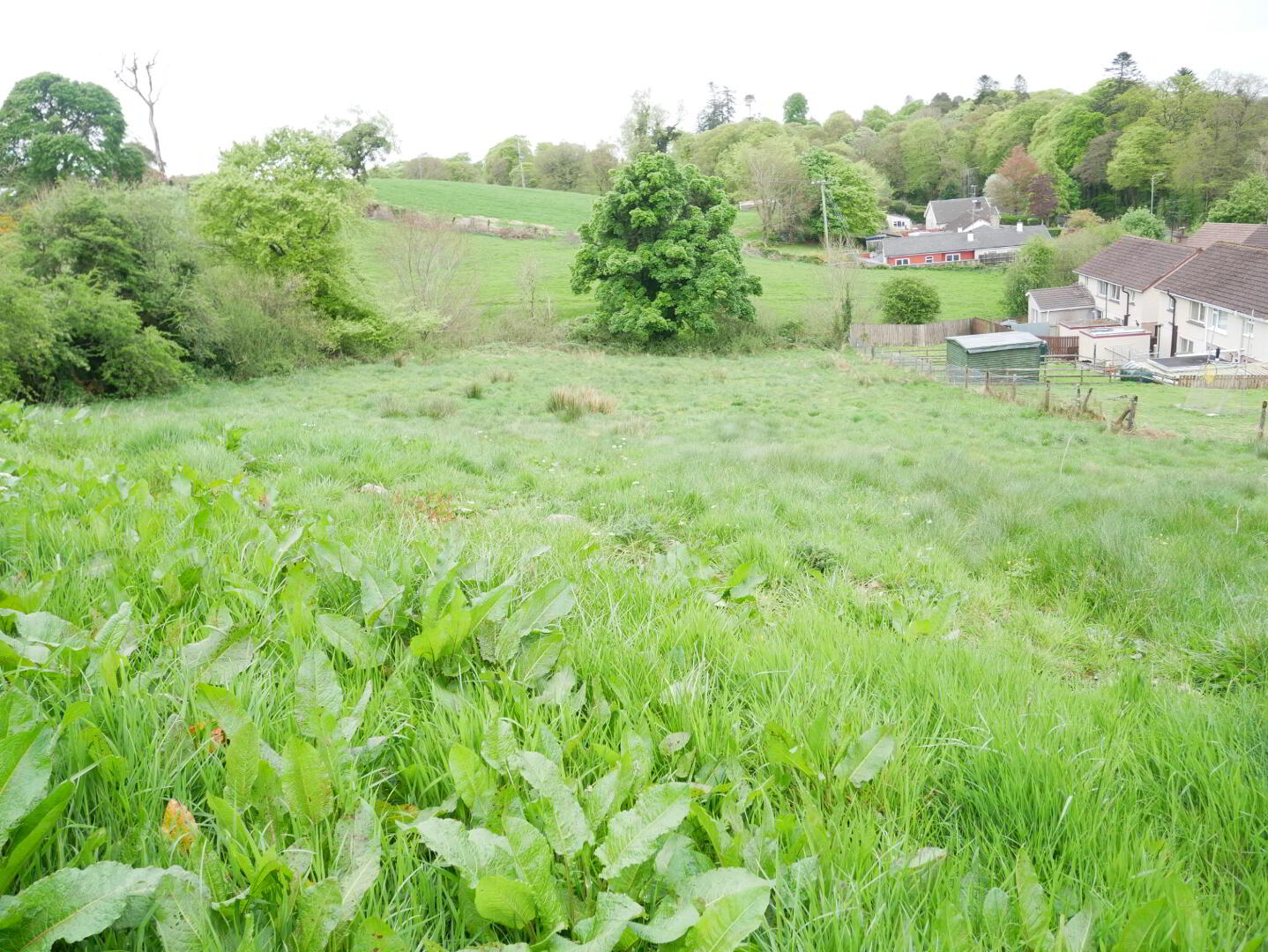 Edenmore 7 of 8