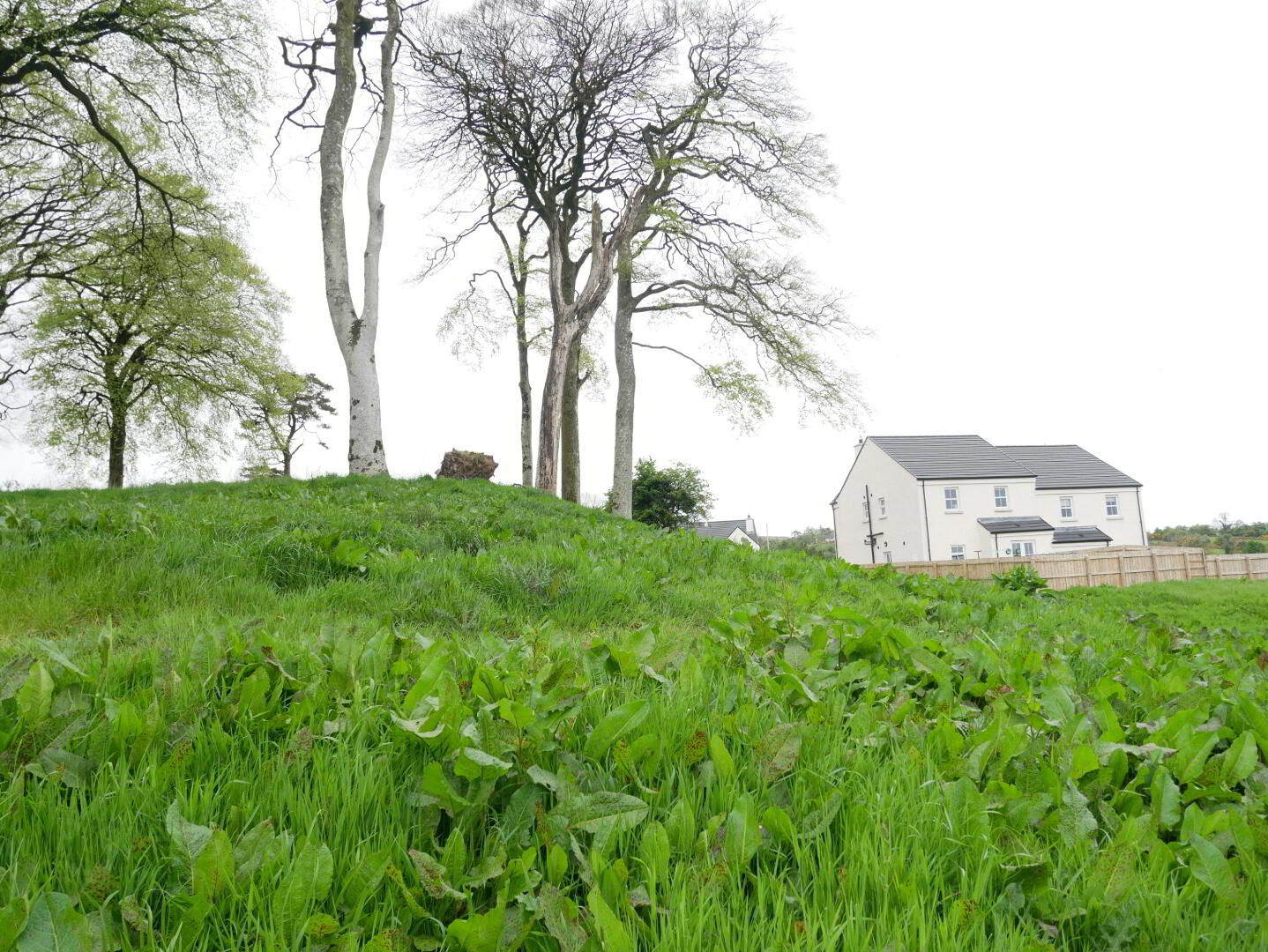 Edenmore 4 of 8