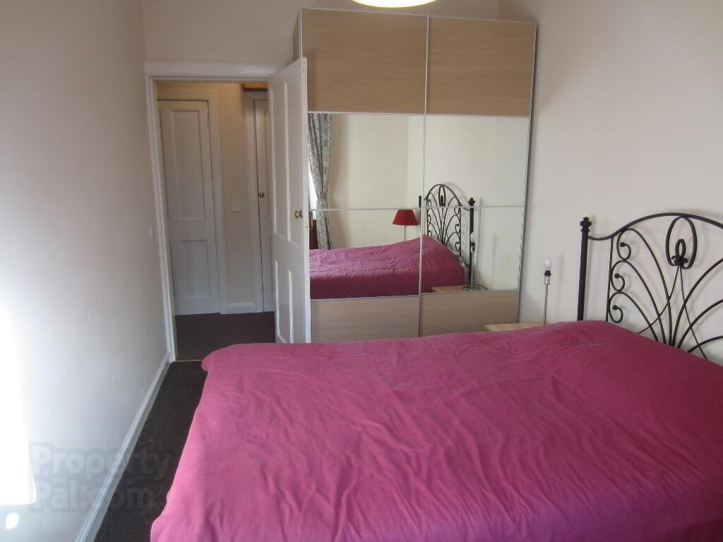 105 Buccleuch Street 8 of 12