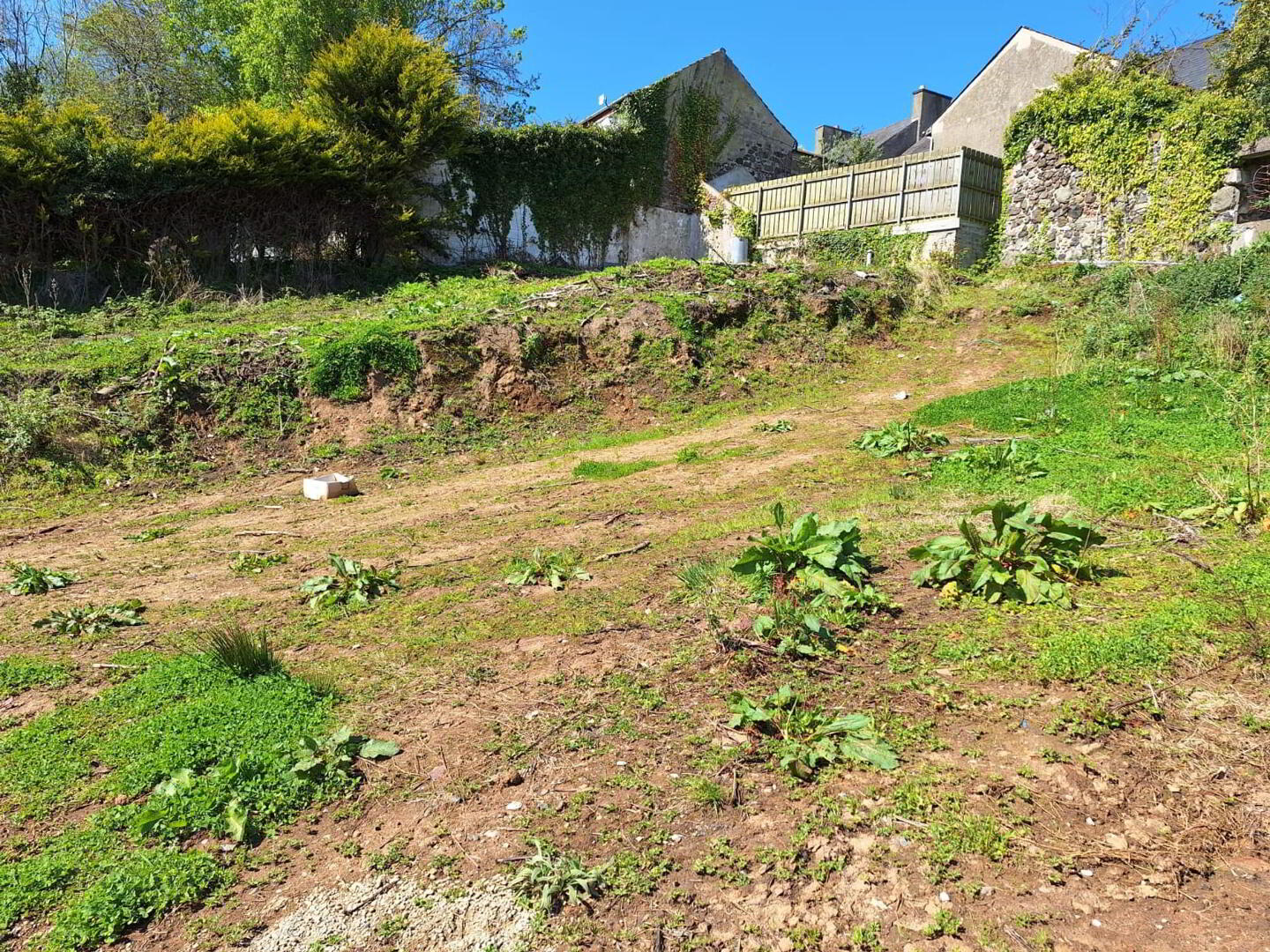Site, Mill Street 4 of 8