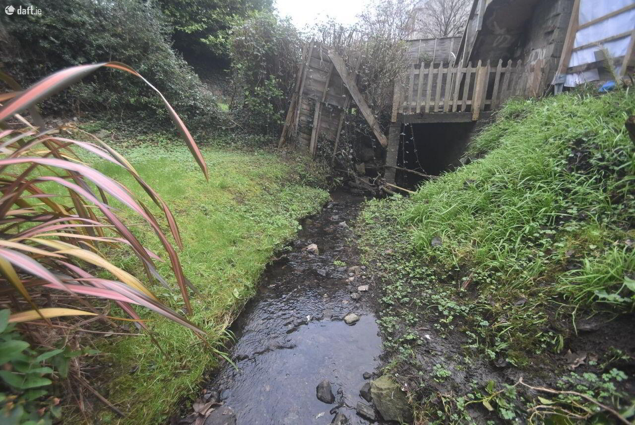 9 Forest Road 12 of 14