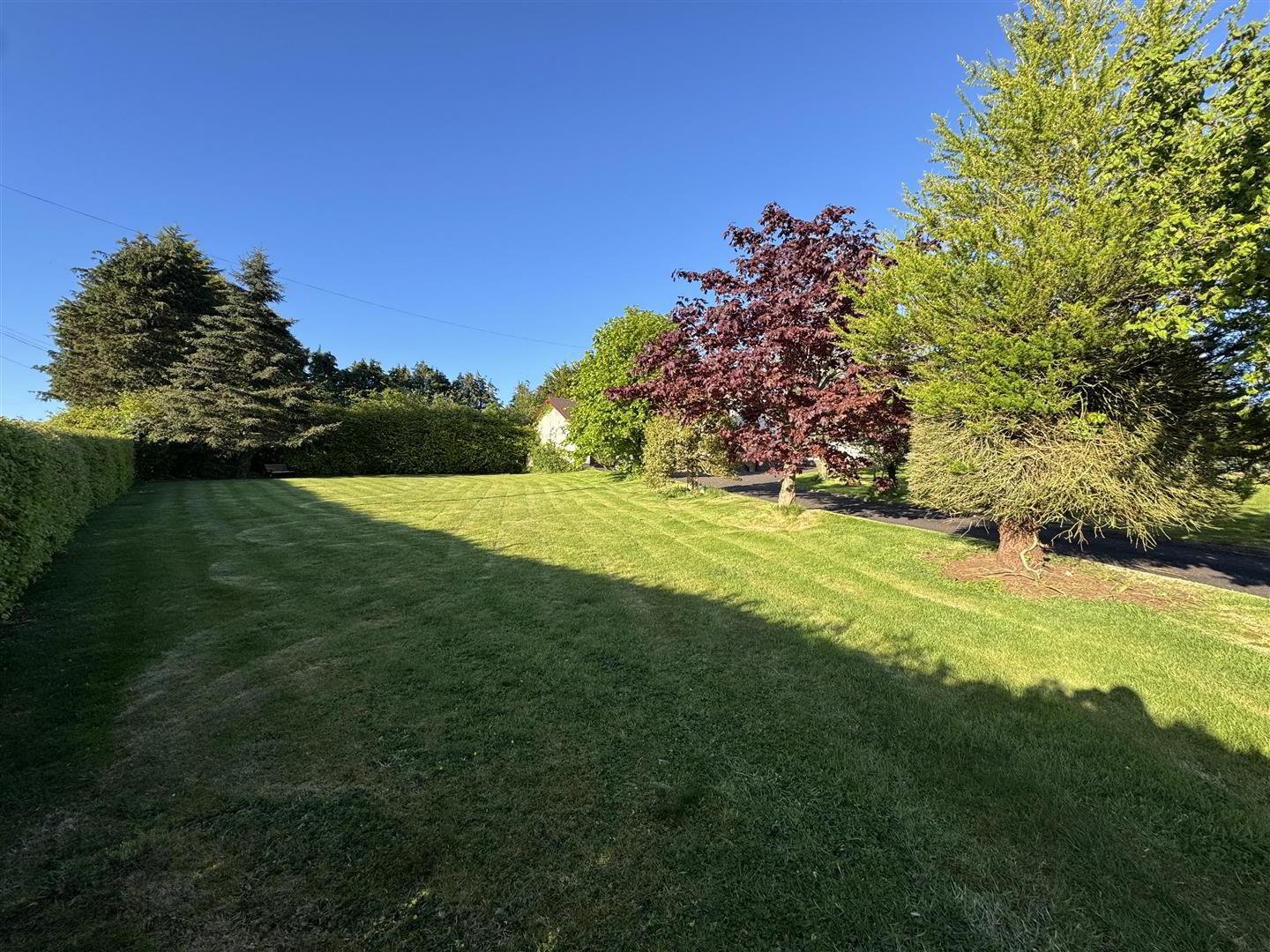 17 Ballymote Road 36 of 49