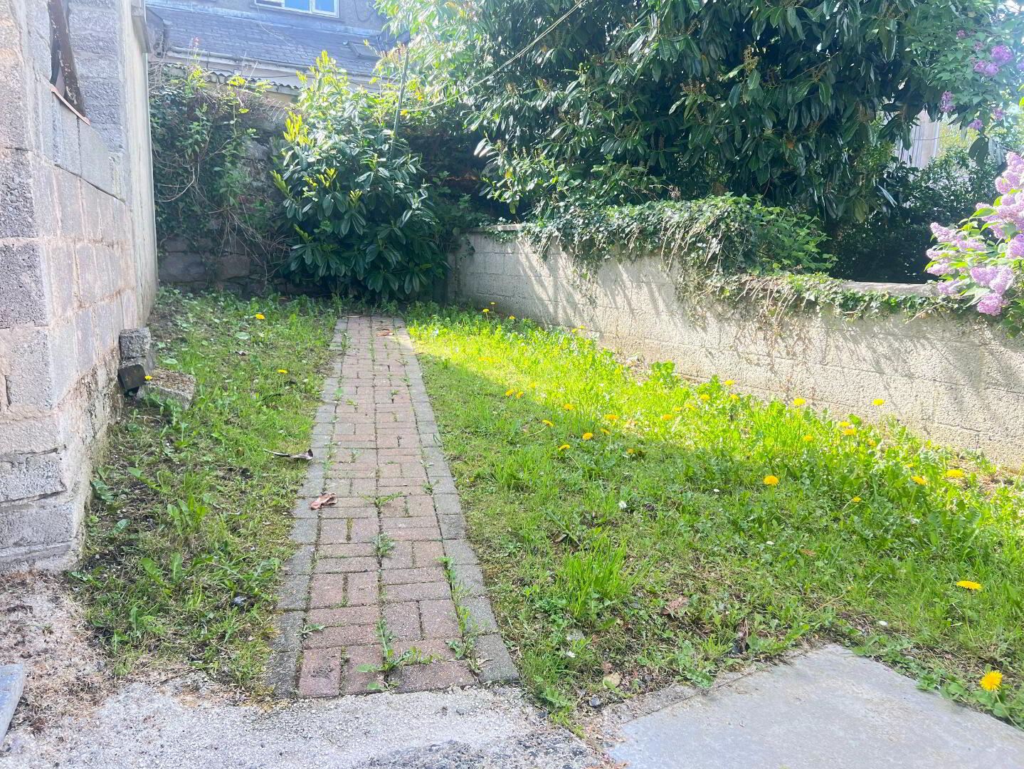 31 Cowan Street 12 of 16