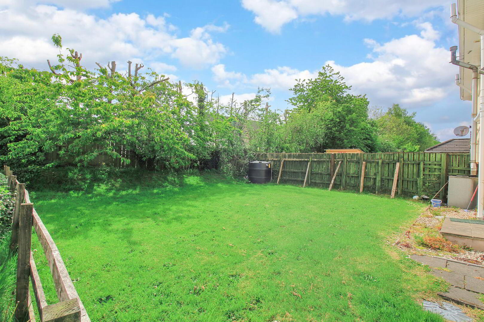 13 Whitehill 21 of 22