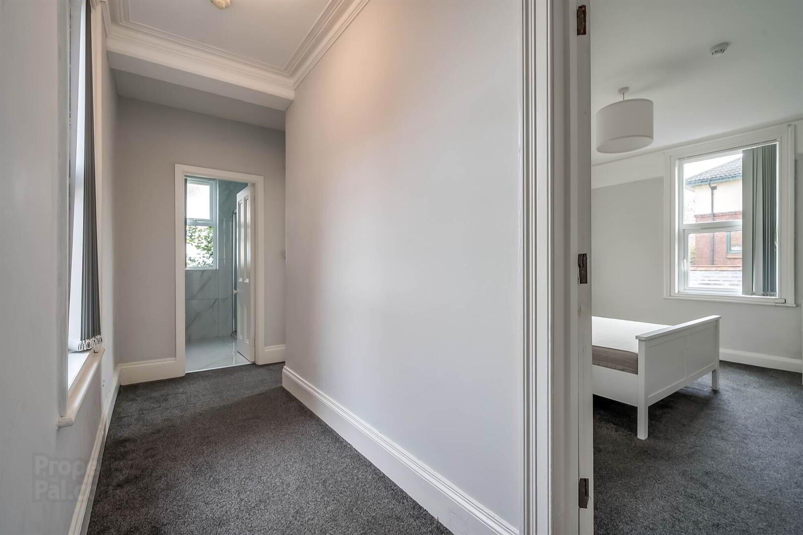 Apt 3, 62 Malone Road 4 of 14