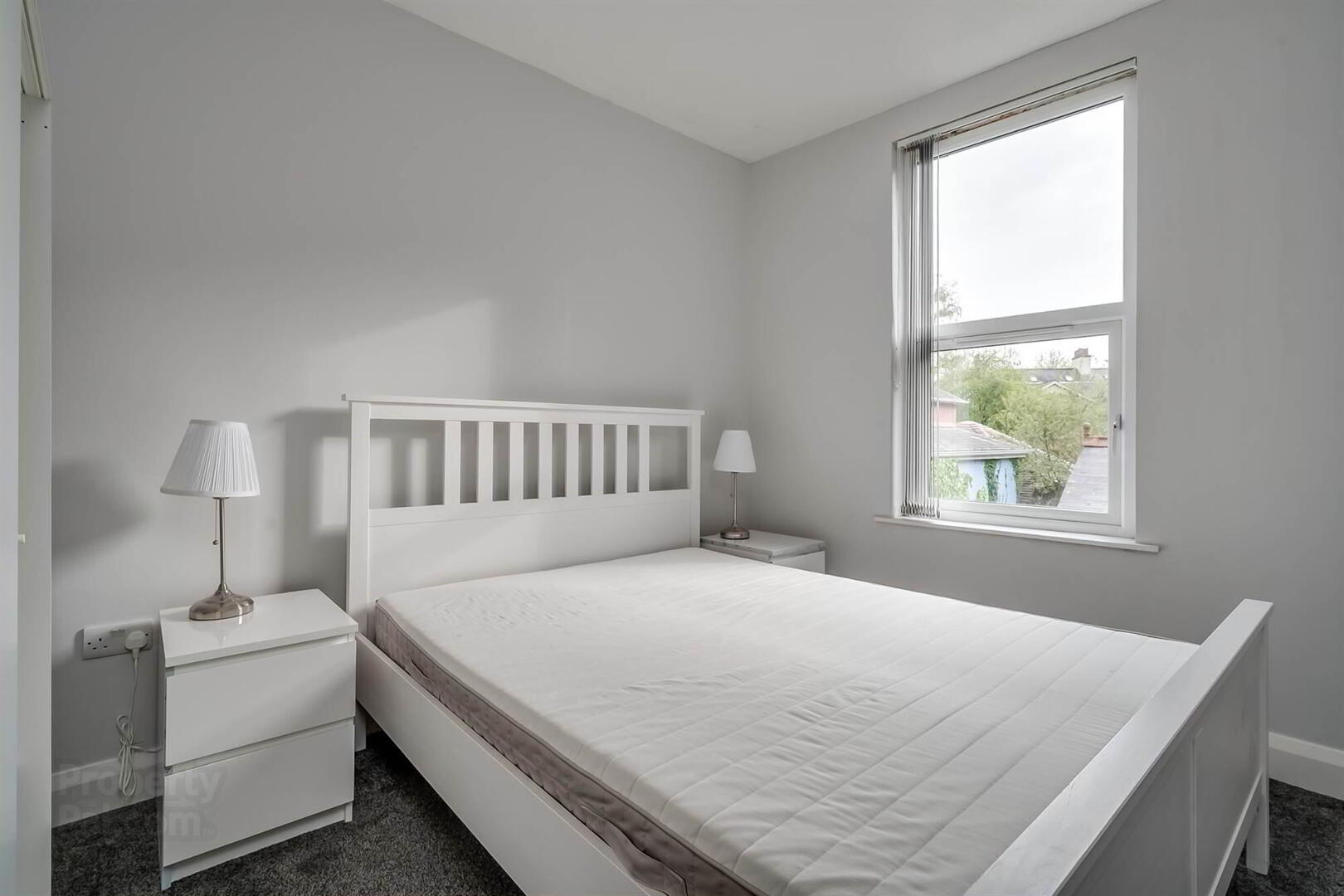 Apt 3, 62 Malone Road 12 of 14