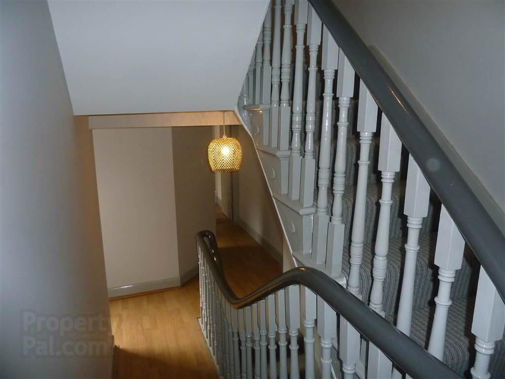 81 Malone Avenue 4 of 9