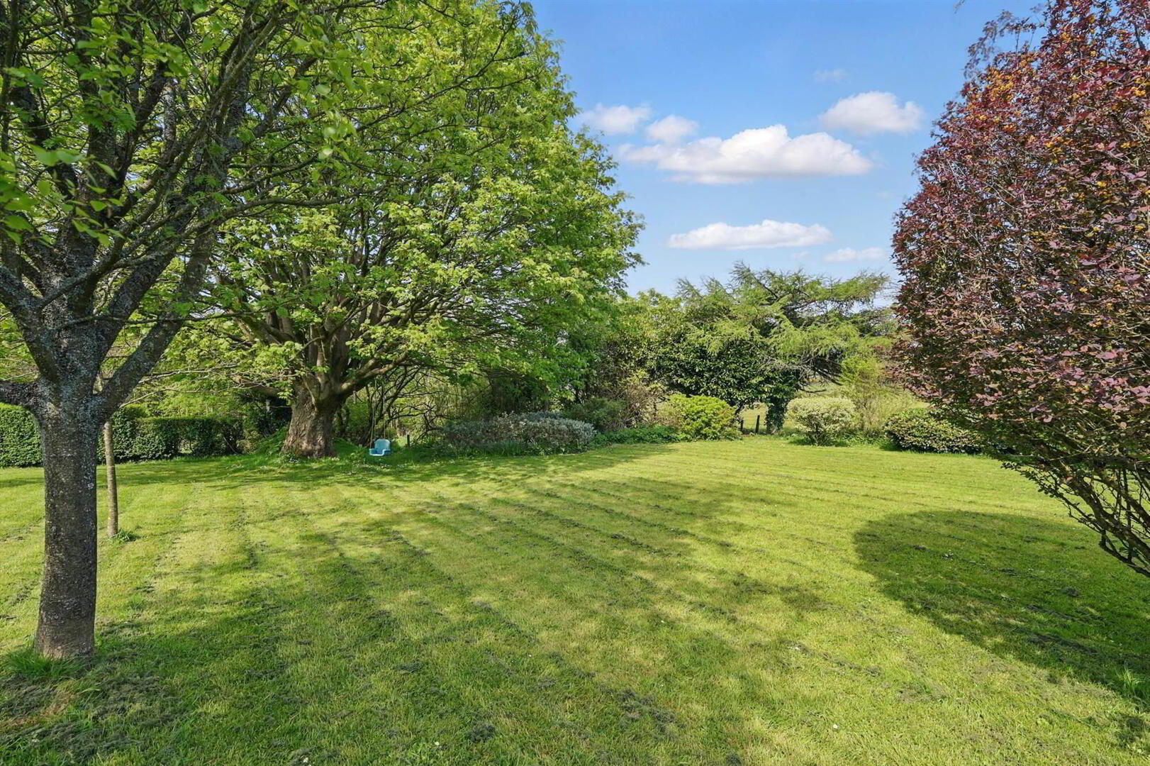 Avoca Farm, 42 Ballymiscaw Road 26 of 56